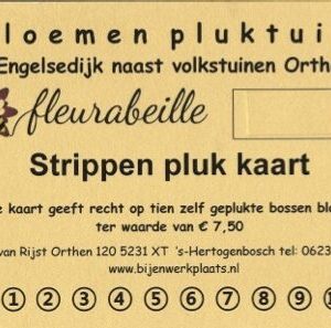 strippenkaart 10 x knippen