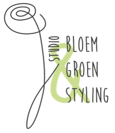 workshop volwassen (strippenkaart)